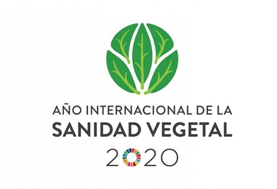 Abre Año Internacional de la Sanidad Vegetal proclamado por la ONU