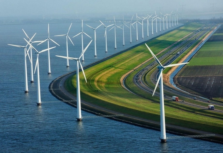 Почти половина электроэнергии в Дании производится за счет ветряных электростанций