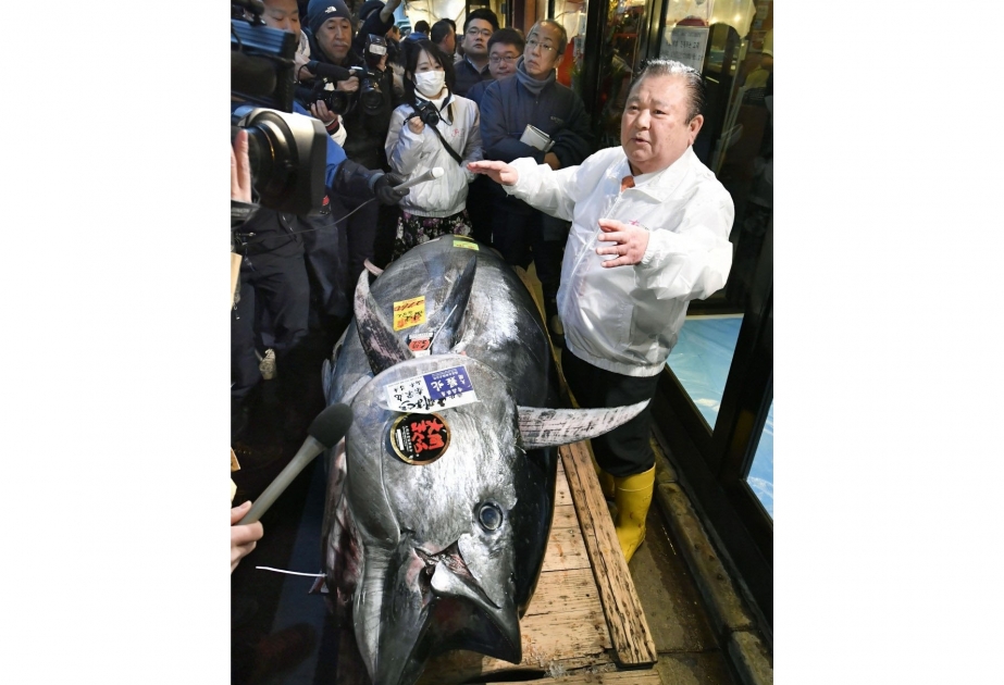 Tokioda yeni dövrdə keçirilən ilk hərracda tuna balığı 1,8 milyon dollara satılıb