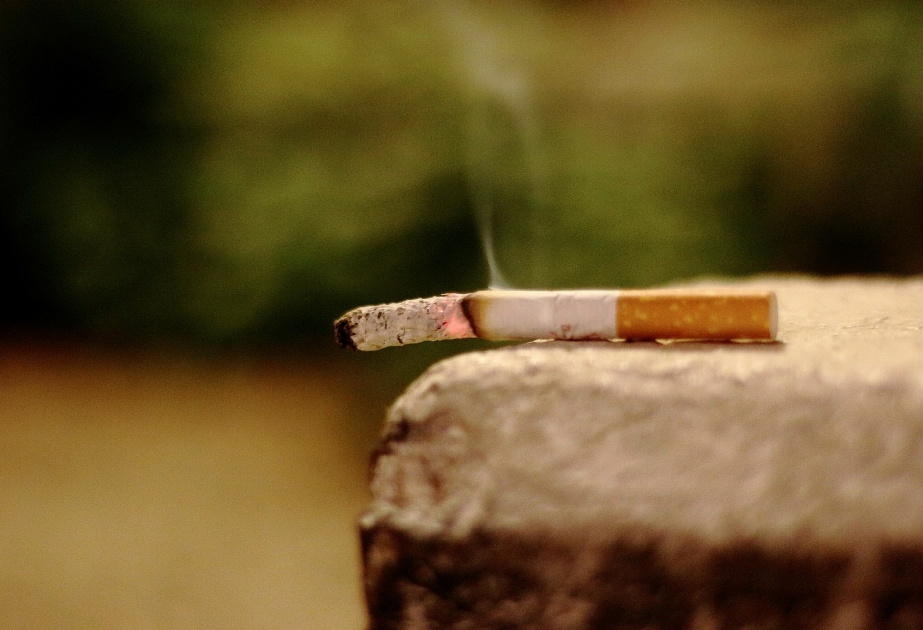 Israeli researchers find cigarette smoke damages our mental health
