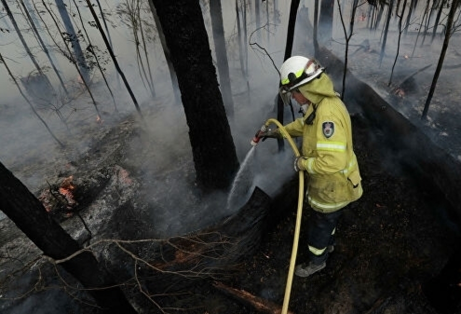 Australia closes several embassies due to “extremely harmful air pollution”