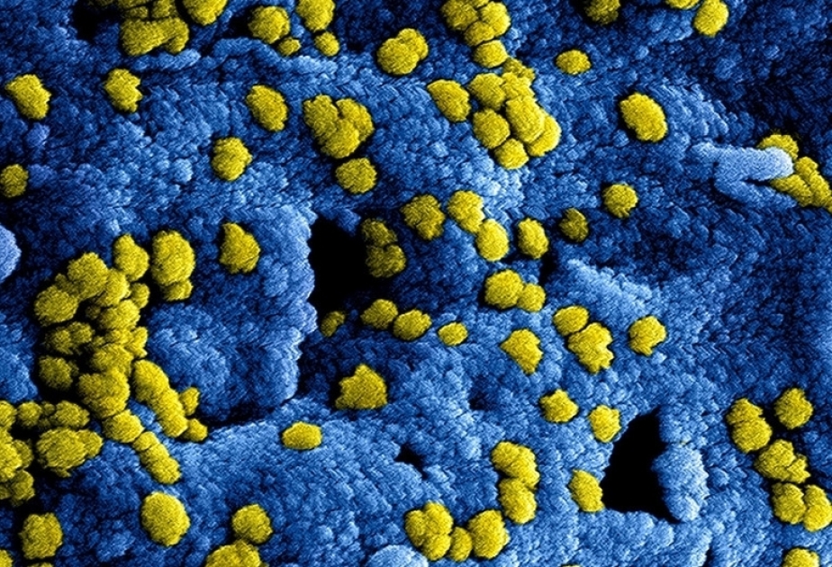 Çində aşkar edilmiş koronovirus indi də Tailandda üzə çıxıb