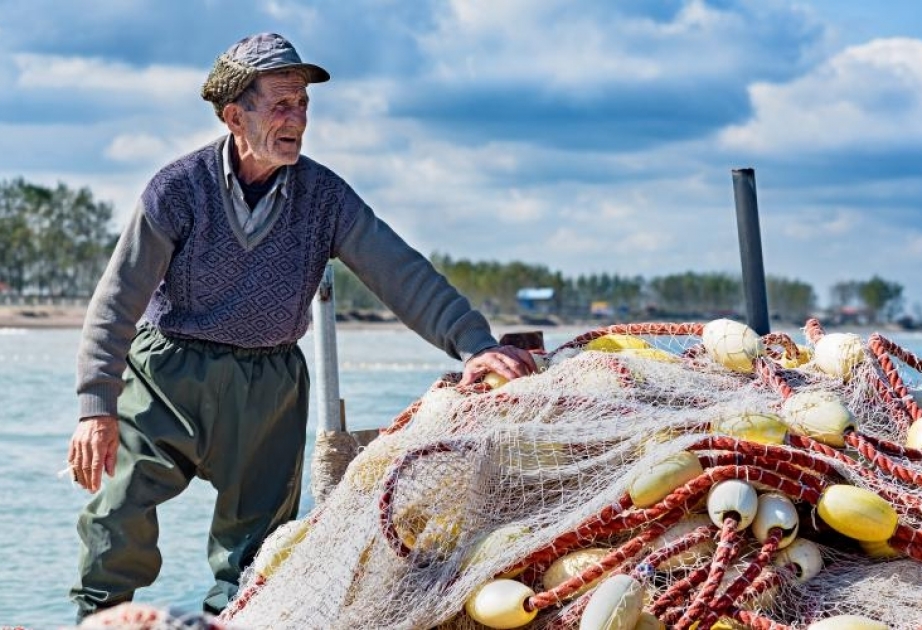 Правительство Венгрии намерено увеличить потребление населением рыбы
