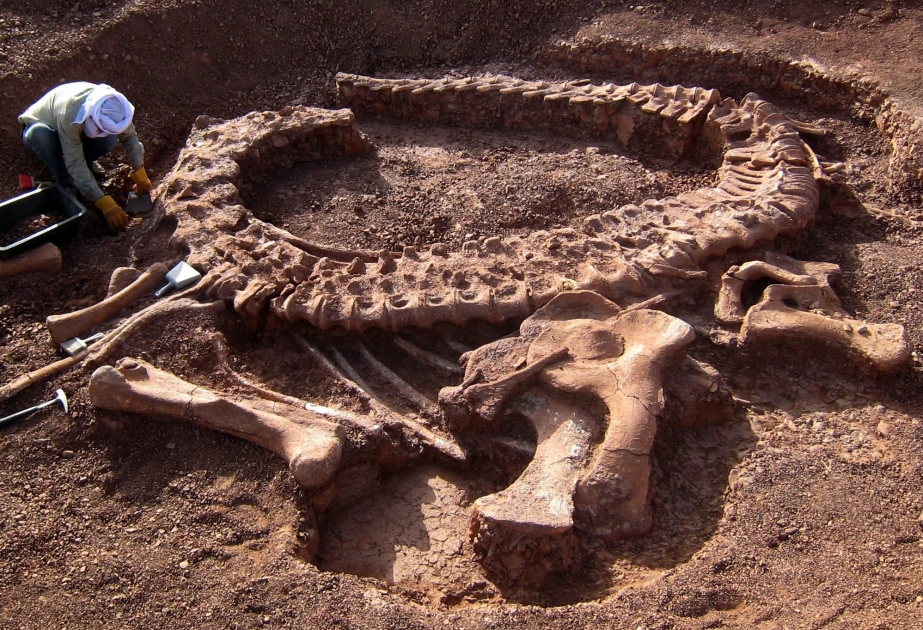 Mozambikdə paleontoloqlar ilk dəfə olaraq dinozavrları aşkar ediblər
