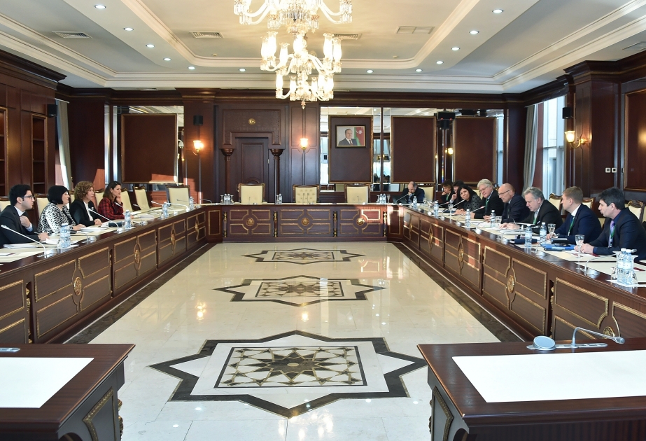 PACE delegation visits Milli Majlis