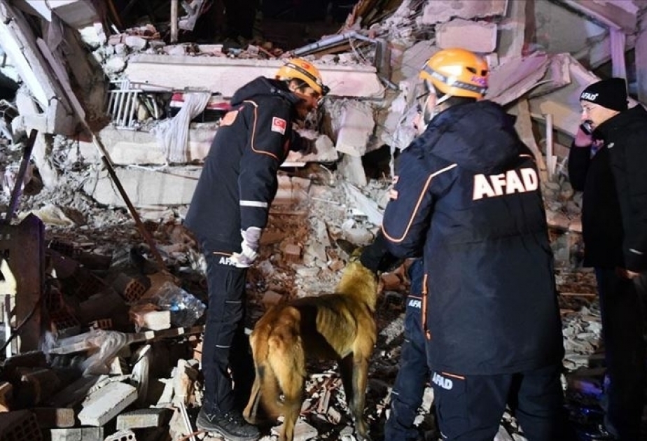 Séisme en Turquie : 922 blessés