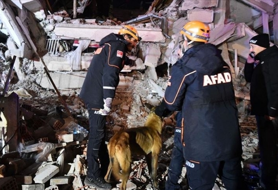 Provinz Elazig: Mehr als 900 Verletzte nach schwerem Erdbeben in der Türkei