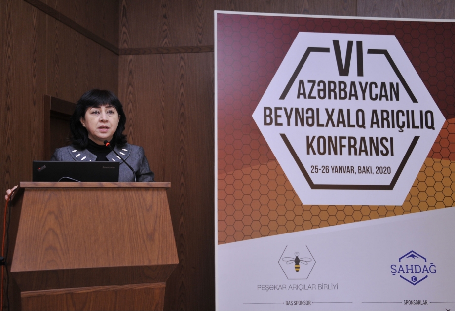 Bakıda VI Azərbaycan Beynəlxalq Arıçılıq konfransı keçirilib