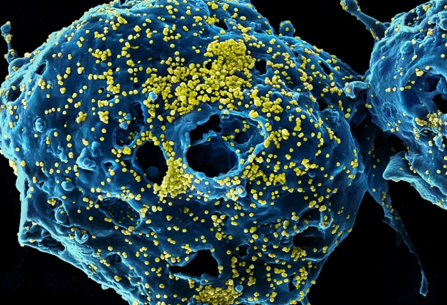 Во Франции подтвердили два случая заражения новым коронавирусом