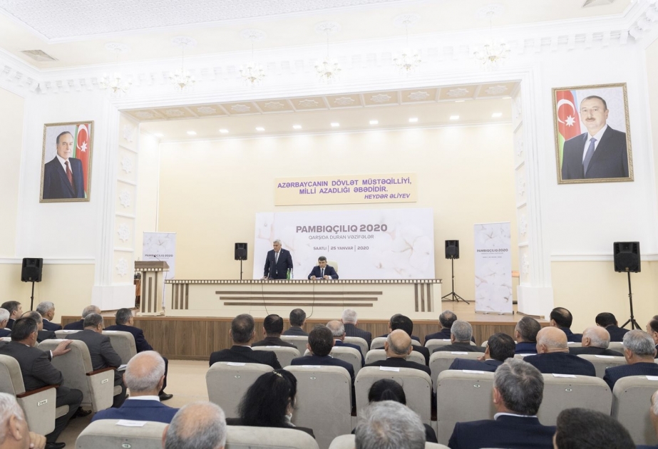 Saatlıda “Pambıqçılıq 2020: qarşıda duran vəzifələr” mövzusunda respublika müşavirəsi keçirilib
