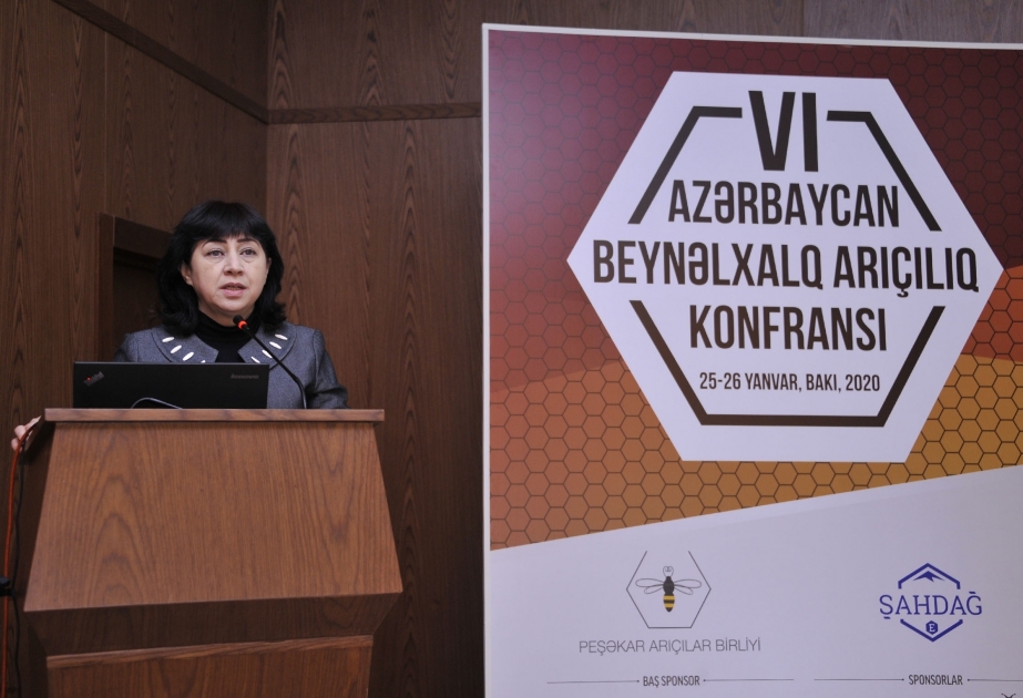 20 empresas participan en la conferencia internacional sobre apicultura en Bakú