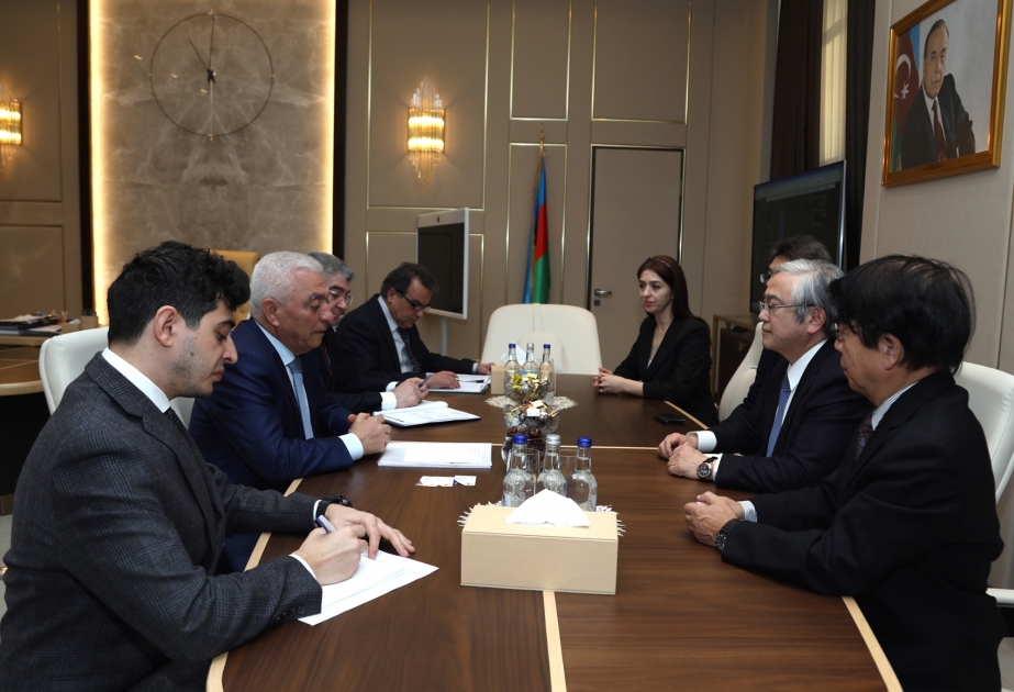 «Азерэнержи» и TEPSCO обсудили перспективы сотрудничества