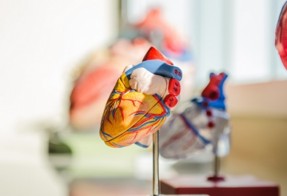 В Японии впервые пересадили ткани из стволовых клеток для лечения болезни сердца