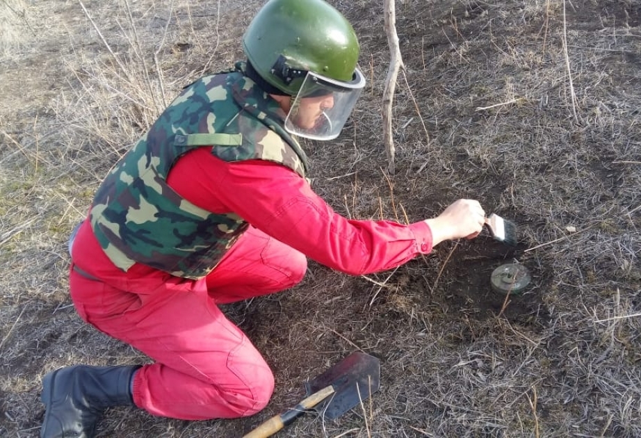 Göygöl rayonunda piyada əleyhinə mina aşkarlanıb