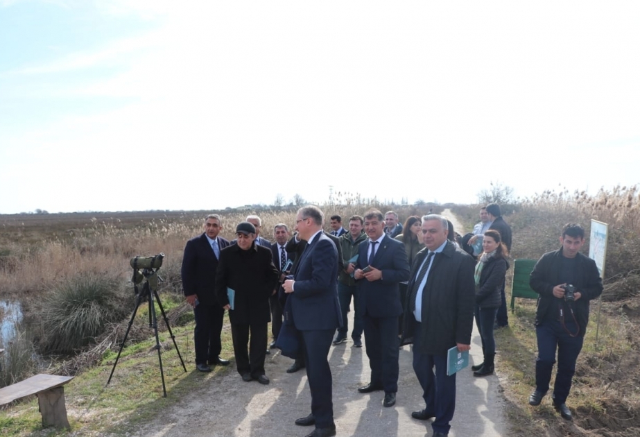 Se desarrollará el turismo relacionado con la observación de aves en Azerbaiyán