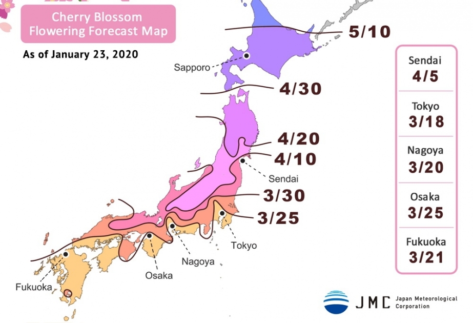 Bu il Yaponiyada sakura ağacları martda çiçəkləməyə başlayacaq