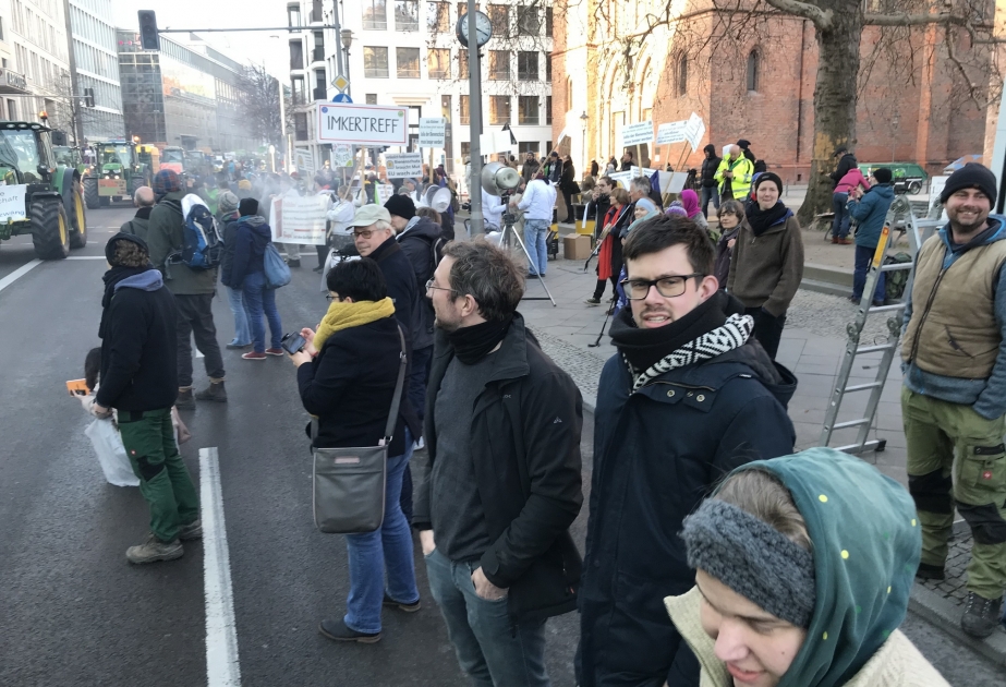 В немецкой столице прошла демонстрация в защиту... пчёл ВИДЕО