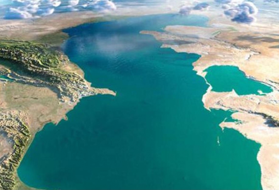 Ashgabat examinará un proyecto de Protocolo de cooperación para combatir la caza furtiva en el Mar Caspio