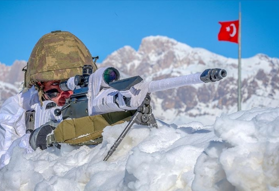 Yanvarda Türkiyənin təhlükəsizlik qüvvələri tərəfindən 45 terrorçu məhv edilib
