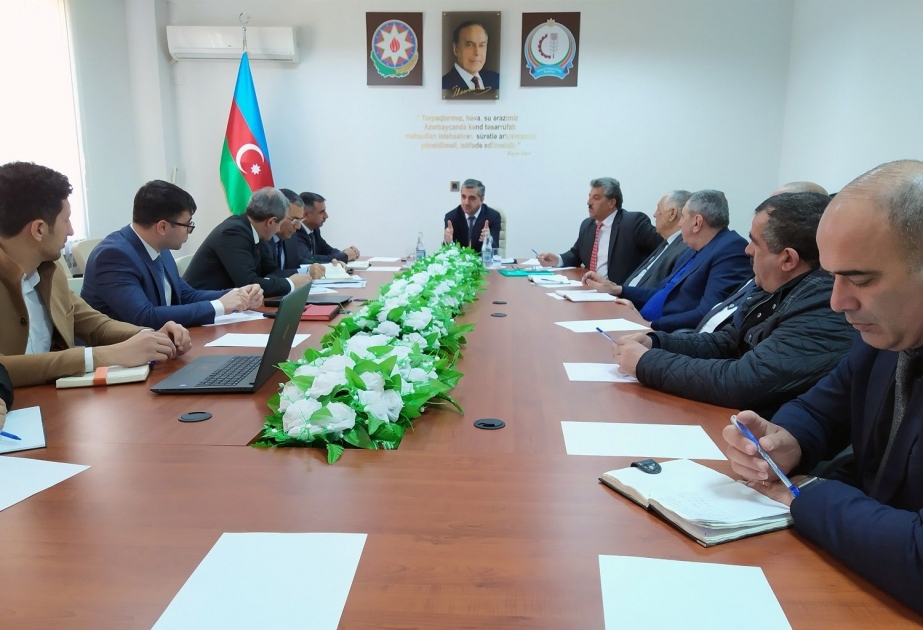 Şəkər çuğunduru istehsalının artırılması və qarşıda duran vəzifələrlə bağlı regional müşavirələr keçirilir