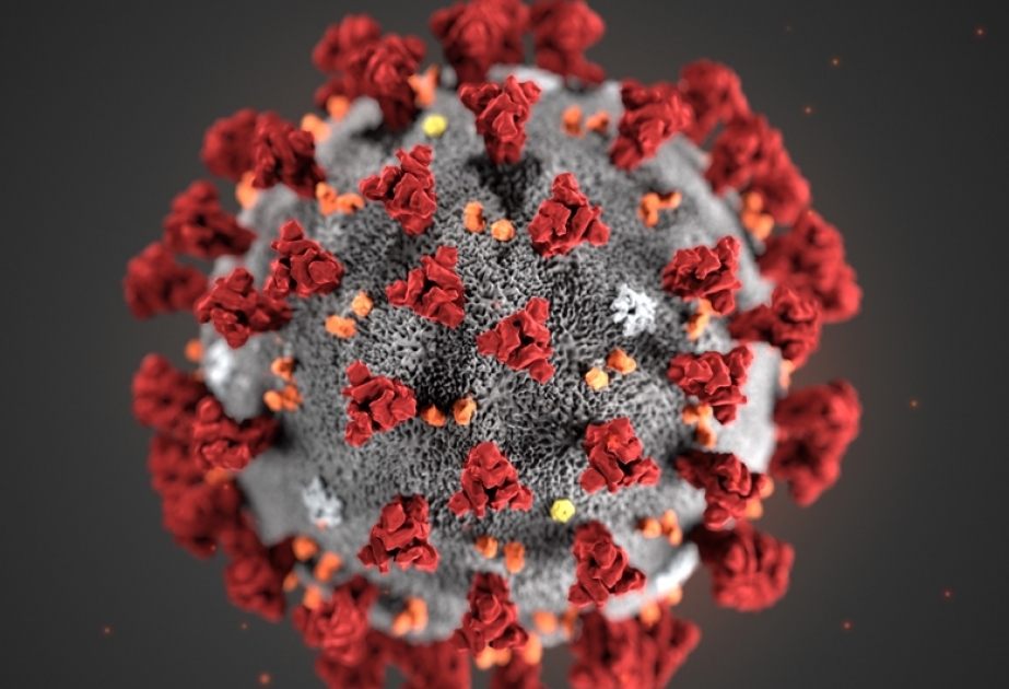 ВОЗ о коронавирусе: необходимо остановить «эпидемию дезинформации»