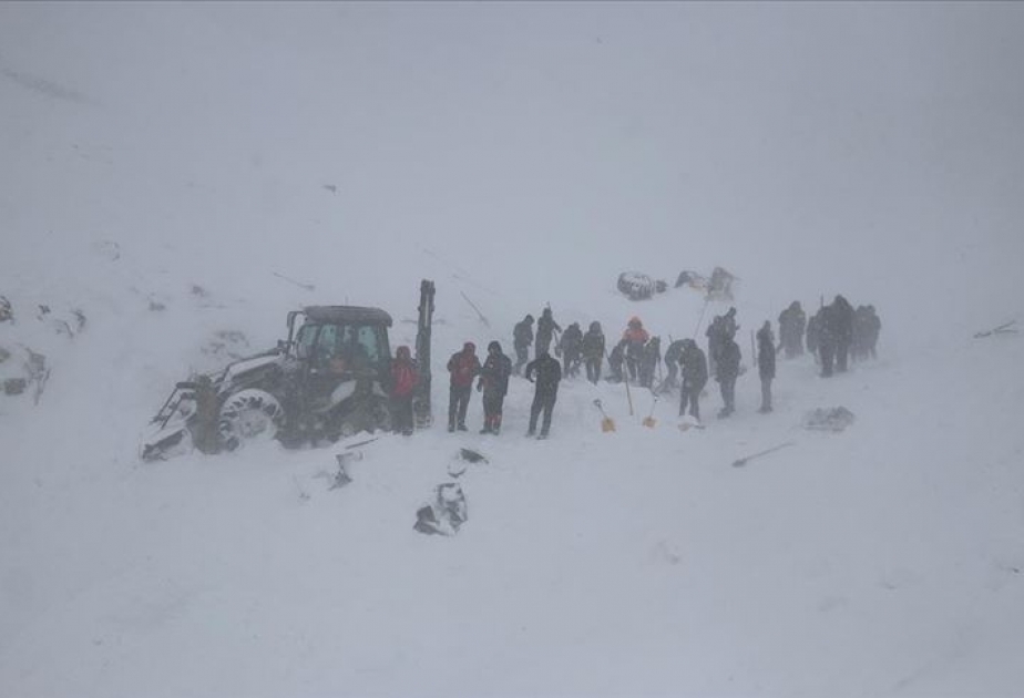 At least 5 killed in avalanche in eastern Turkey