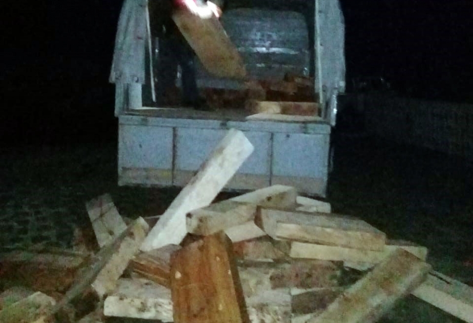 Lerikdə qanunsuz yolla əldə edilmiş meşə materialı aşkarlanıb