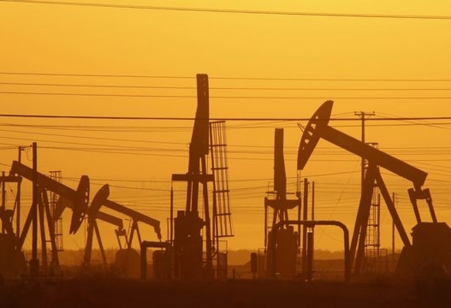 Nazir: Rusiya OPEC-in neft hasilatının daha da azaldılması təklifini dəstəkləyir