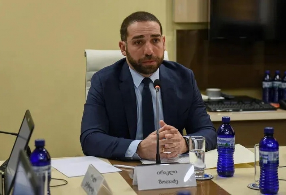 Gürcüstanın Prokurorlar Şurası ölkənin yeni Baş prokurorunu seçib