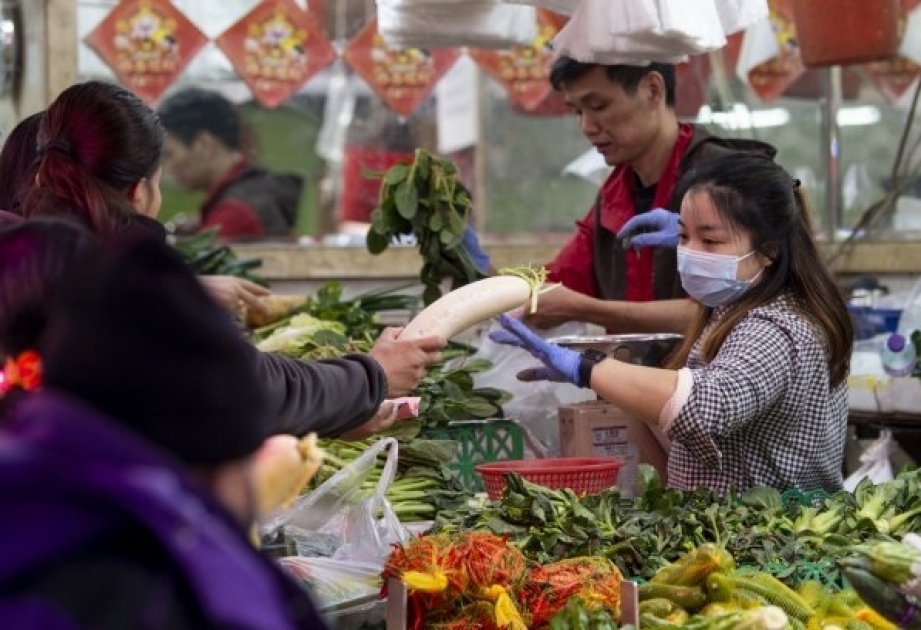 WHO: Corona-Epidemie in China führt weltweit zu Engpass an Schutzkleidung