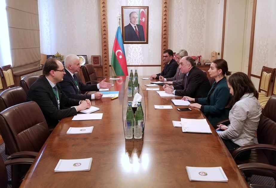 Azerbaijani FM meets with head of CIS observation mission
