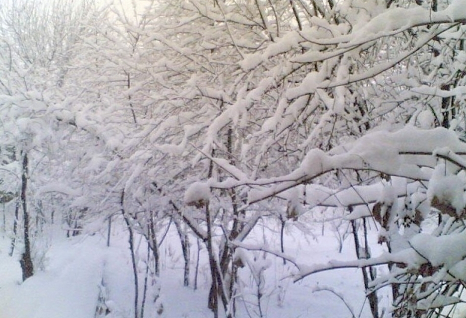В поселке Агдере Ордубадского района высота снежного покрова достигла 36 см