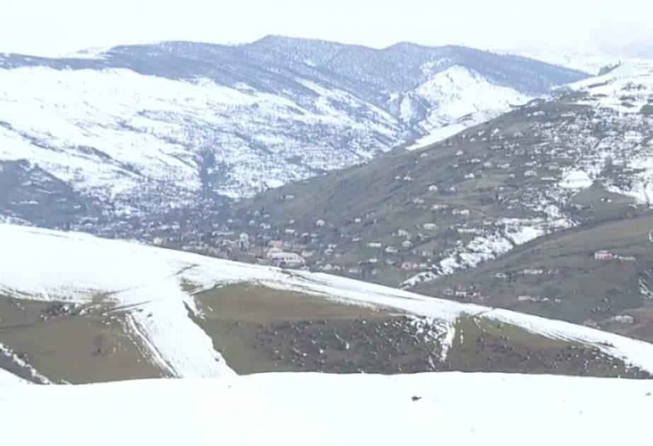 Qarlı və şaxtalı hava kənd təsərrüfatı üçün çox əlverişlidir – Yardımlıdan reportaj VİDEO
