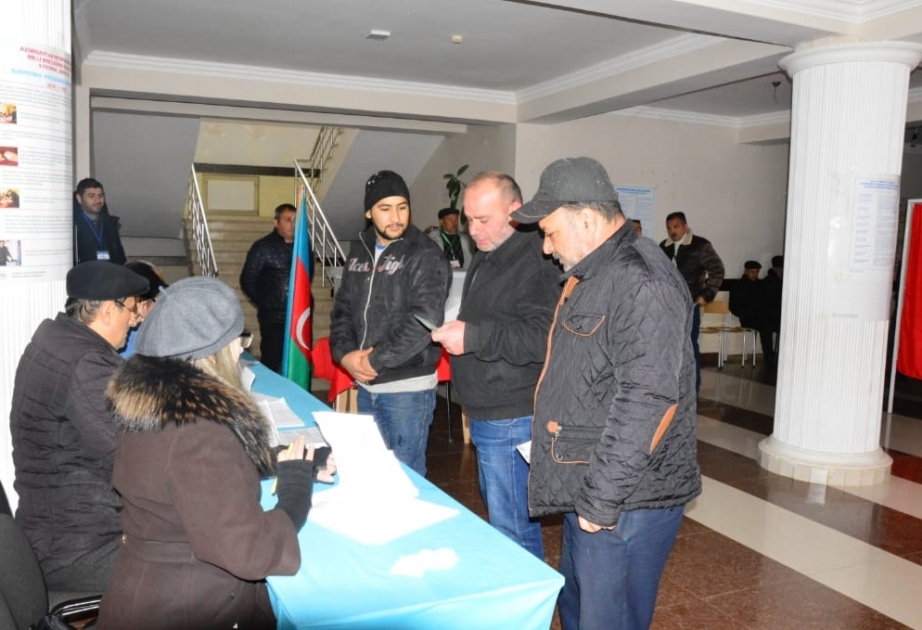 Masallıda seçici fəallığı müşahidə edilir