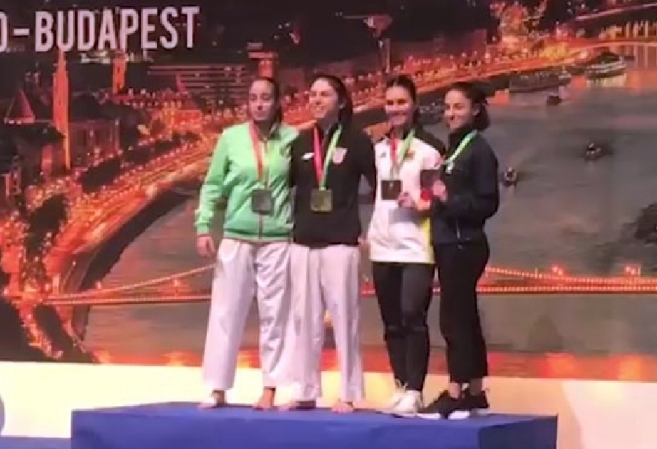 Еще две медали в копилке Азербайджанской сборной ВИДЕО