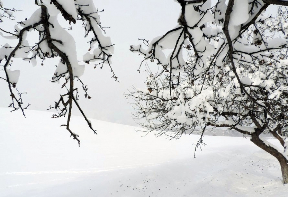 سماكة الثلج 50 سم مع 20 مئوية تحت الصفر في قرية خيناليق بقوبا