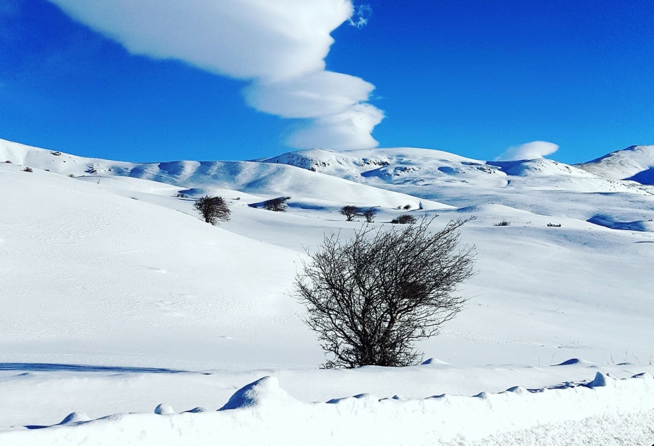 Naxçıvanın füsunkar qış mənzərələri  FOTOREPORTAJ