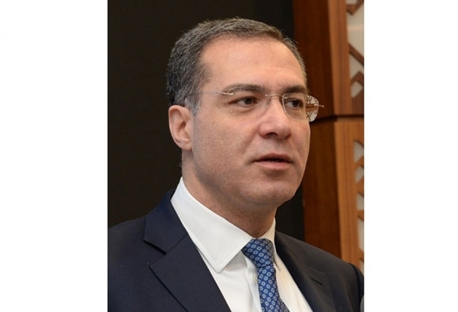 Asistente del Presidente: “Azerbaiyán e Italia pueden pasar a una nueva forma de cooperación económica”