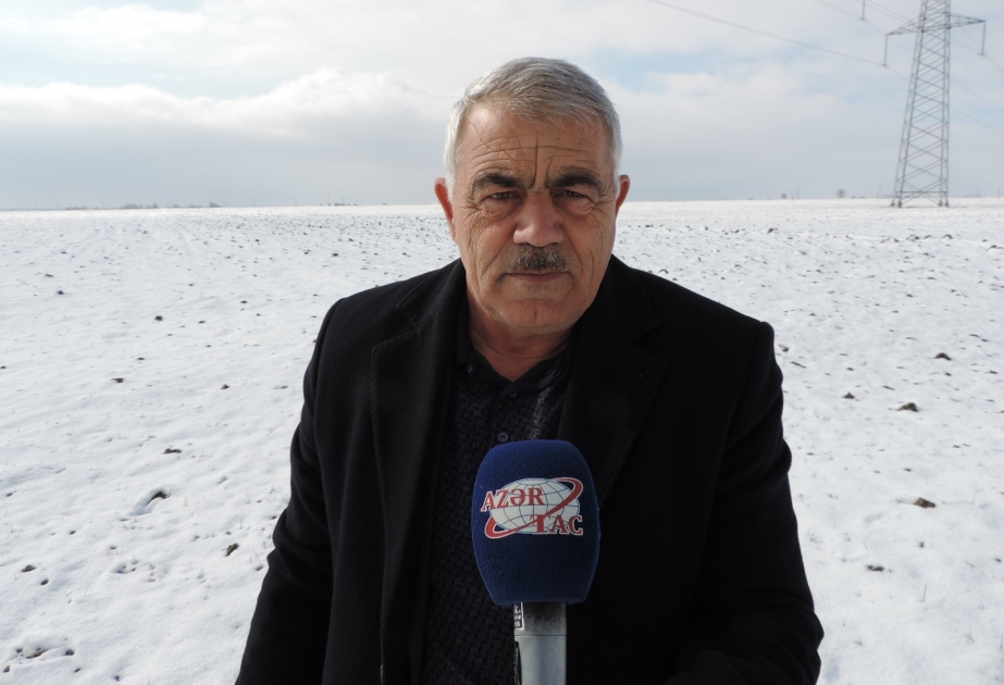 Fermer: İstehsal olunan məhsulların emal məsələlərini həll etməyi qarşıya məqsəd qoymuşuq