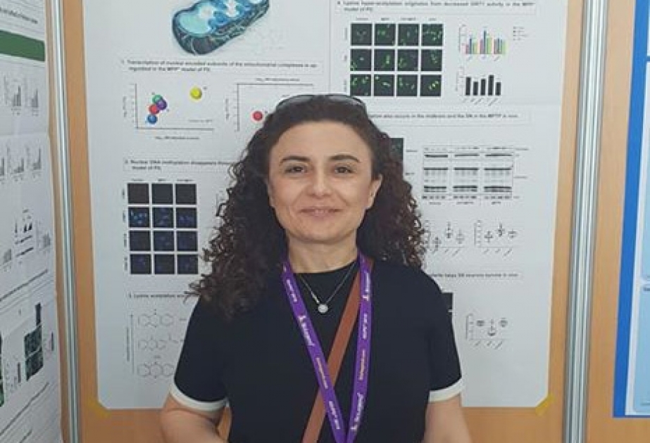 Almaniyada professor elmi adını qazanmış ilk azərbaycanlı alim