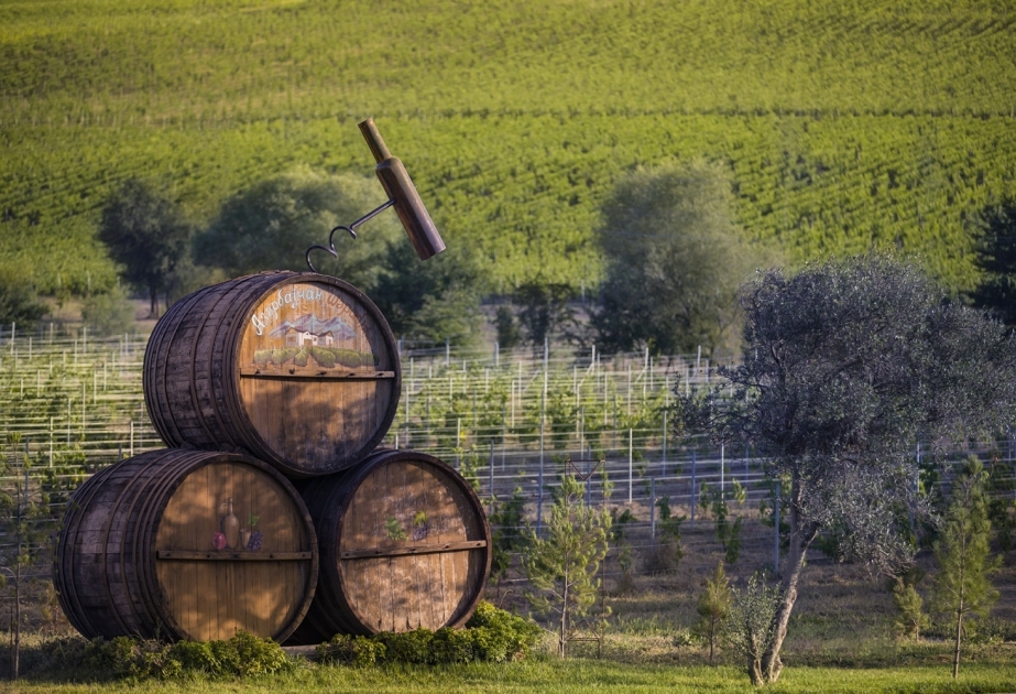 Portal polaco ha publicado un artículo sobre las tradiciones vinícolas de Azerbaiyán