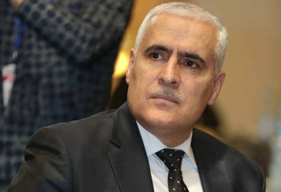 Vüqar Rəhimzadə: Ümumavropa Qarabağ mitinqi Azərbaycan həqiqətlərinin təbliğinə böyük dəstək olacaq