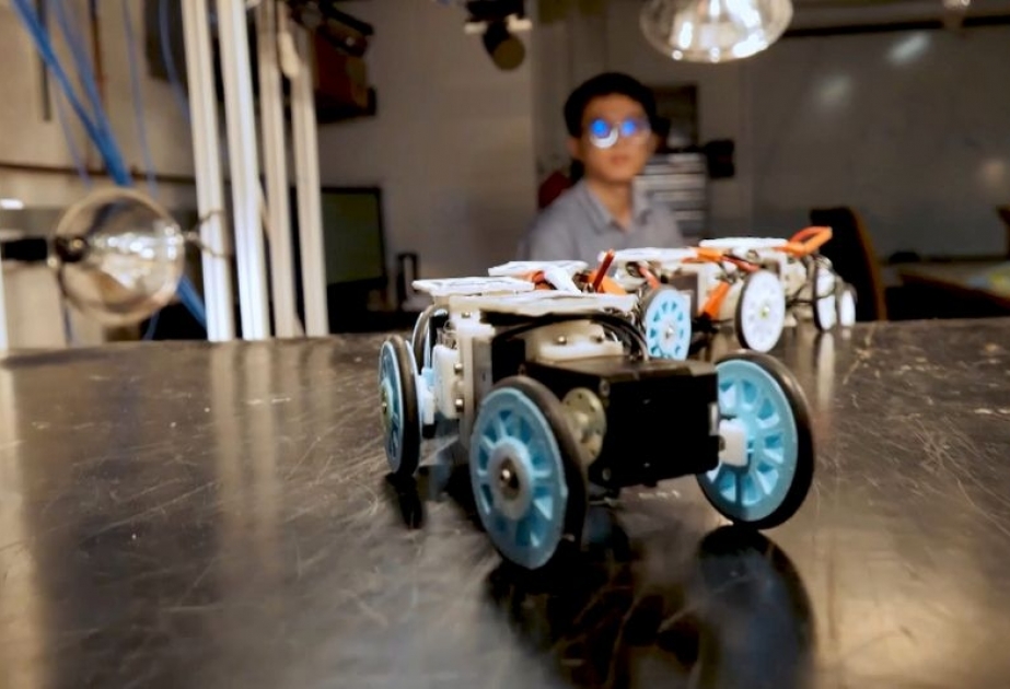 Forscher von John Hopkins University entwickeln Roboterschlange
