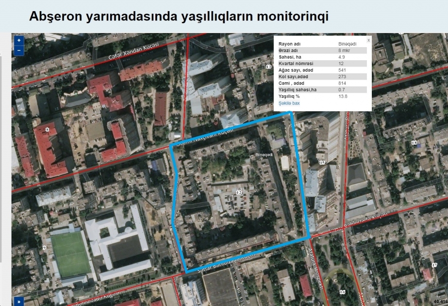 Elektron və vizual məlumat bazası əlavə yaşıllıqların salınmasına dair qərar verilməsinə dəstək olacaq