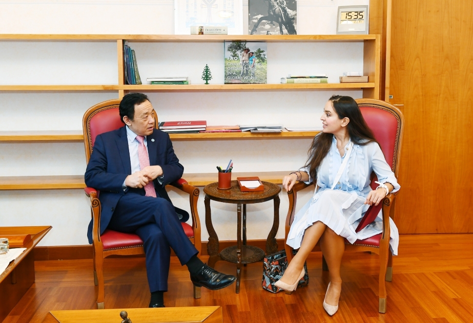 Vicepresidenta de la Fundación Heydar Aliyev se reunió con el director general de la FAO en Roma