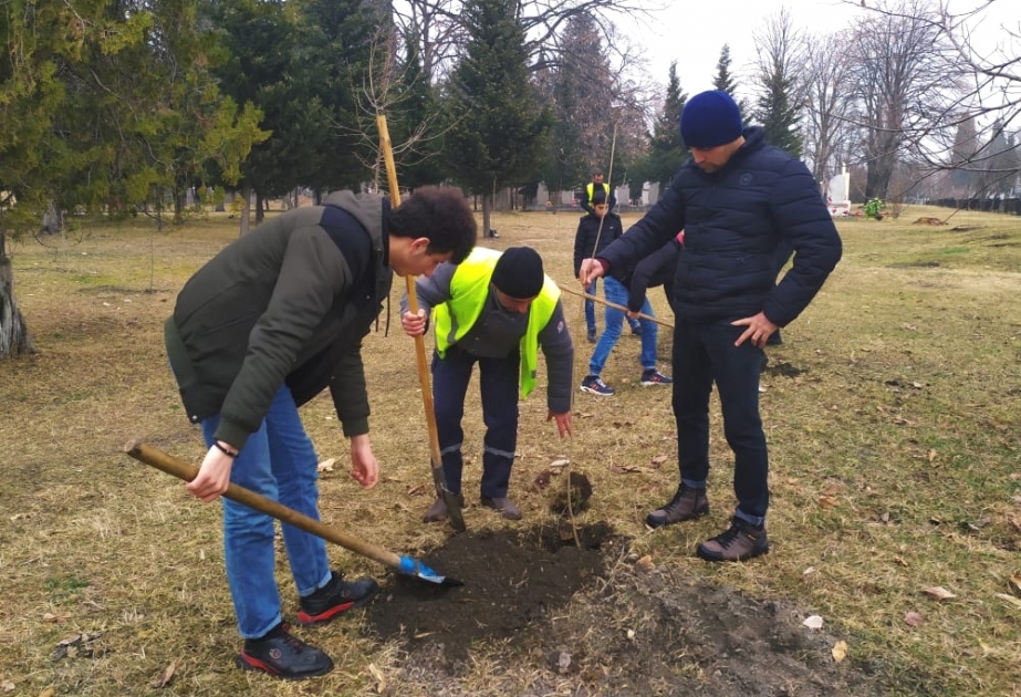 Qaxlı gənclər Xocalı faciəsində qətlə yetirilən azyaşlı uşaqların xatirəsinə 63 həmişəyaşıl ağac əkiblər