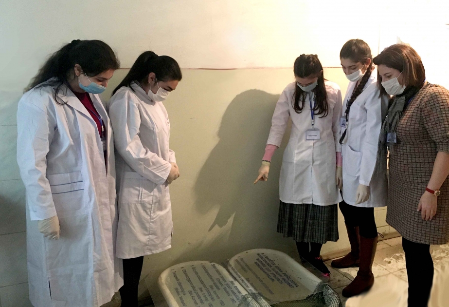 Fiziologiya İnstitutunda məktəblilərlə görüş