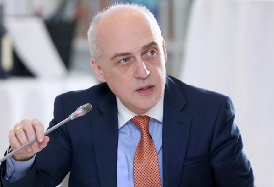 Nazir David Zalkaliani: Avropa Şurası Nazirlər Komitəsinin iclası Tbilisidə keçirilməyəcək
