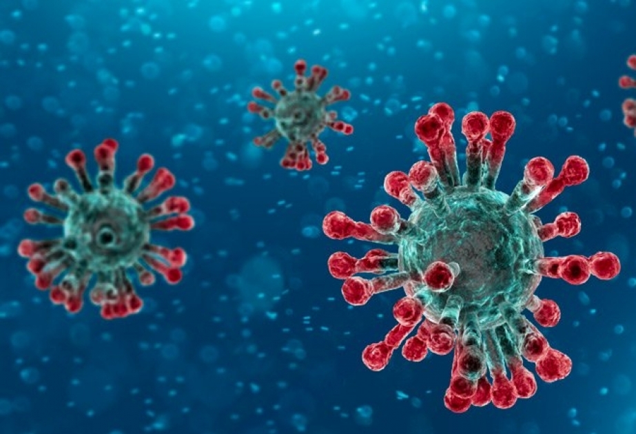 Norveçdə koronavirusa ilk yoluxma faktı qeydə alınıb
