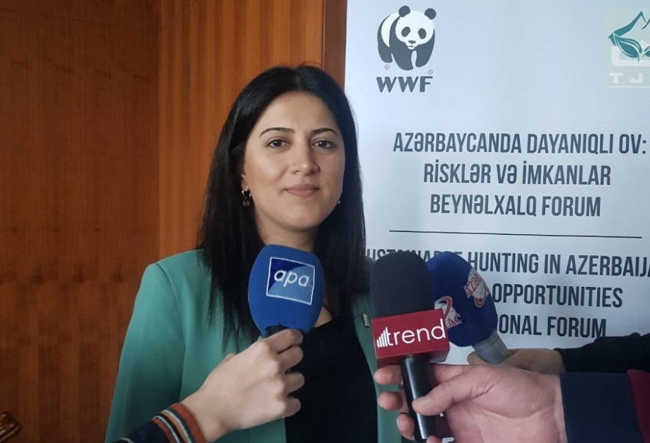 Qanunsuz ovlanan heyvanlara görə cərimə məbləğləri açıqlanıb